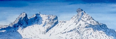 cobbler-detail