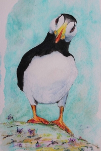 2_What-Puffin-22-x-15-cm-Water-C