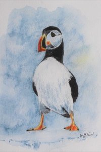 Look-at-me-Puffin-22-x-15-cm-Water-C